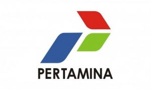 Pertamina Joint Study Cari Cadangan Migas di Blok Natuna Semester I 2023