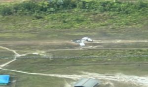 Separatis Papua Ogah Lepas Sandera Pilot Susi Air Asal Selandia Baru, Kecuali Merdeka