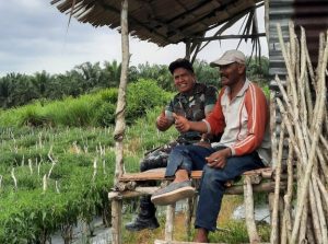 Program Ketahanan Pangan, Pelda Hendrianto Dampingi Sukino