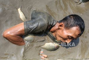 Jaga Tradisi, Warga Ngubek Empang di Depok