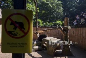 Pemkot Bandung Klaim tak Punya Konflik dengan Yayasan Margasatwa Tamansari