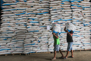 KRKP: Penurunan Jatah Pupuk Subsidi Beratkan Petani  