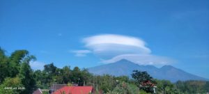 1,5 Ton Benih Pohon Ditebar di Kawasan Terdampak Karhutla Gunung Arjuno-Welirang 