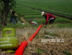 Darurat Pangan, Mentan Minta Pompanisasi Dimasifkan di Daerah Minim Hujan