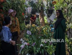 Kementan Dorong Kabupaten dan Kota Miliki Taman Koleksi Varietas Lokal