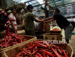 Harga Cabai Merah di Pekanbaru Alami Penurunan  