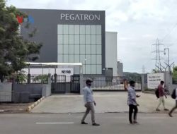 India Kesulitan Beri Lapangan Kerja untuk Lulusan Perguruan Tinggi
