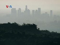 Polusi Udara Picu Risiko Kesehatan Serius Bagi 16 Juta Penduduk Italia
