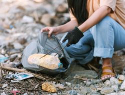 Dampak Pencemaran Lingkungan, Bahan Kimia Berbahaya Terkandung di Dalam Makanan