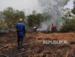 BRGM Dorong Pembentukan Peraturan Hukum Desa untuk Lindungi Gambut