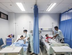 RSUD Taman Sari Jakarta Rawat 14 Pasien Kasus DBD