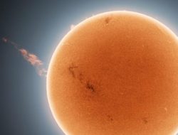 Rocket Lab akan Luncurkan Teknologi Pelayaran Matahari Baru NASA