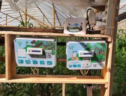 Pertanian Cerdas Tingkatkan Produktivitas Hingga Dua Kali Lipat