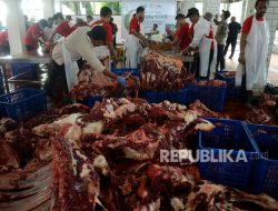 Pakar UGM Terangkan Pentingnya Langsung Memasak Daging Kurban