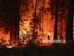 Dahsyatnya Kebakaran Hutan di California, Hanguskan 350 Ribu Hektare Lahan