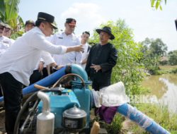 Bapanas: Produksi Padi Meningkat dengan Program Pompanisasi