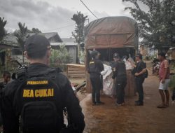 Bea Cukai Bongkar Penyelundupan Satwa Liar di Perbatasan Indonesia-PNG