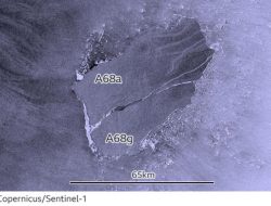 Noice Rilis Konten Horor Detektif Astral di Antartika, Dua Hari Raih Rp 100 Juta