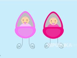 Ibu Hamil Bayi Kembar Disarankan Lebih Sering ke Dokter Dibandingkan yang Hamil Tunggal