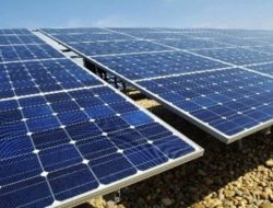 Perusahaan Energi Surya Tumbuh Pesat di Afrika