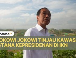 Tinjau Progres Istana Kepresidenan, Jokowi Soft Ngantor di IKN