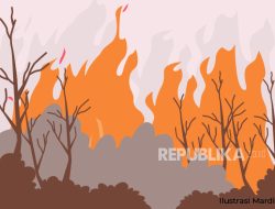 KLKH: 183 Hektare Hutan dan Lahan di Jawa Tengah Terbakar Selama 2024