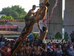 Keseruan Lomba Panjat Pinang di Kalimalang