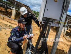 Pekerjaan Hijau Tumbuh Pesat di Amerika Serikat