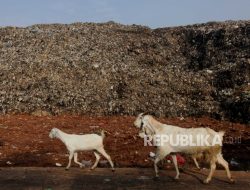 Tragis, di Negera ini, Gunung Sampah Tiban Pemukiman Tewaskan 17 Orang