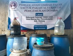Pengolahan Limbah Pasar Menjadi Pakan Alternatif Penggemukan Domba