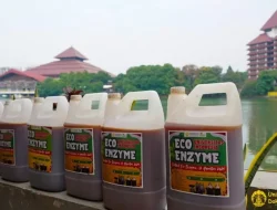 UI GreenMetric Cetak Rekor MURI Penuangan Cairan Eco Enzyme oleh Perguruan Tinggi Terbanyak di Indonesia