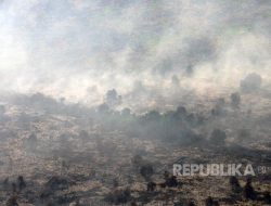 PHR dan BRGM Berikan Pelatihan Pencegahan Karhutla di Rokan Hilir