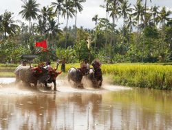 Lewat Relawan Bakti BUMN, PLN Beri Pelatihan UMKM dan Giatkan Budaya Khas Jembrana