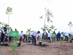 KLHK Siapkan Standar Dukung Wujudkan Konsep Kota Hutan IKN