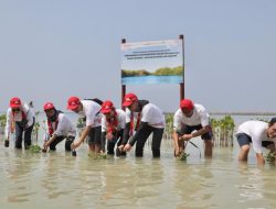 Tanam 3.200 Pohon Mangrove di Kepulauan Seribu, 211.195 Pohon Telah Ditanam AHM