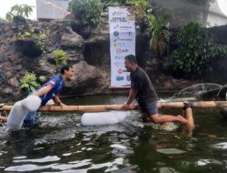 Rayakan HUT Ke-79 RI, Ratusan Wartawan Ikut Jurnalis Fest 2024