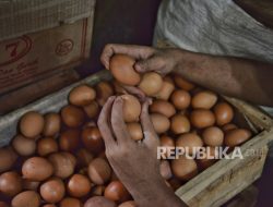 Viral Pembagian Telur untuk Ibu Hamil di Bandung Hanya untuk Difoto dan Diambil Kembali
