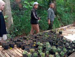 Urban Farming Festival, Rayakan Panen dan Kemandirian Pangan