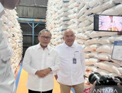 2,92 Juta Ton Beras Impor Telah Masuk RI hingga Oktober 2024