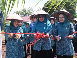 Pjs Ketua TP-PKK Tinjau Monitoring dan Evaluasi Pelaksanaan 10 Program Pokok PKK
