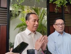 Jokowi Diisukan Jadi Jurkam Pilkada, Projo: Hak sebagai Warga Negara