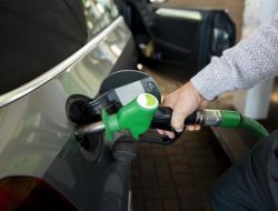 ESDM Says It Needs Nine Additional Biodiesel Plants for B50 Production