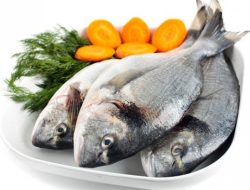Studi: Omega-3 dan Omega-6 Bisa Lindungi Tubuh dari Kanker