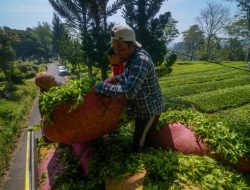 Soal Penghapusan Utang, Petani di Bandung: Tolong Diperjelas Teknisnya