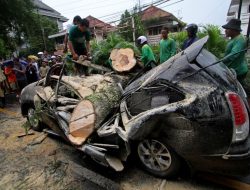 Banyumas Dilanda Angin Puting Beliung, Tanah Longsor, Hingga Pohon Tumbang