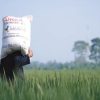 Senang Harga Pupuk Turun, Petani Minta Alokasinya Ditambah