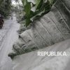 Gunung Ibu di Halbar Kembali Erupsi, Semburkan Abu Vulkanik Setinggi 900 Meter