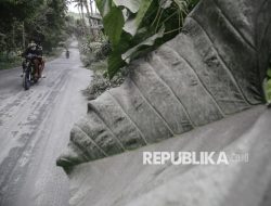 Dampak Sebaran Abu Vulkanik Erupsi Gunung Ibu di Halmahera