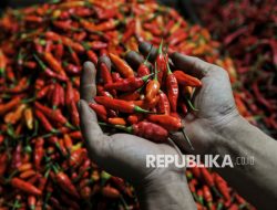 Wow! Di Bandung, Harga Cabai Tembus Rp 140 Ribu per Kilogram