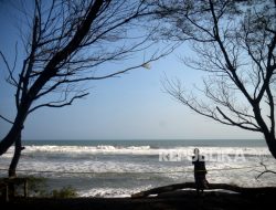 BMKG Jelaskan Potensi Megathrust Hingga Tsunami Melanda Kulonprogo, DIY